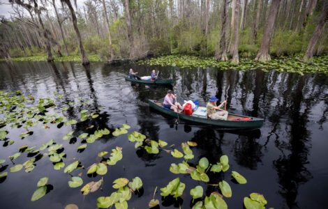 Okefenokee UN Designation